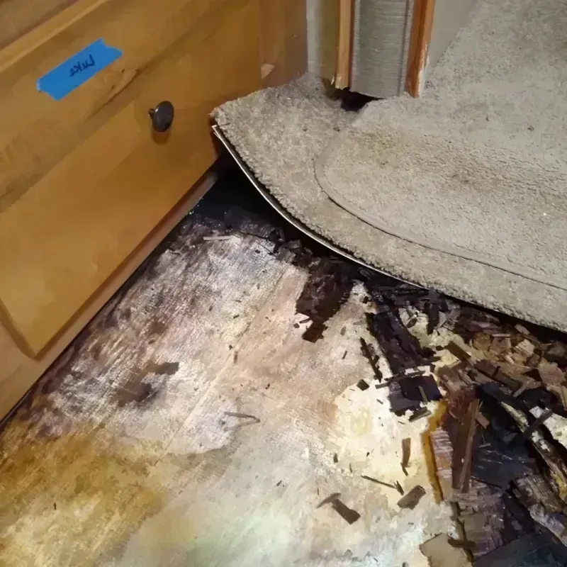 Wood Floor Water Damage in La Plata County, CO